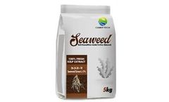 Camef - Model Type 20-20-20 - Seaweed Extract NPK Fertilizer