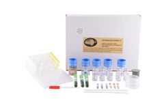 Microbiotests - Model OSTRACODTOXKIT F - Chronic Direct Contact Sediment Toxicity Test Kit