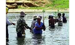 Restoring natural habitats in Myanmar a reconstruction priority, says IUCN