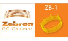 Zebron - Model ZB-1 - GC Columns