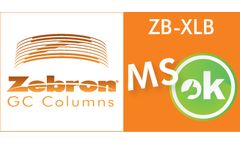 Zebron - Model ZB-XLB - Fused Silica GC Column