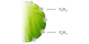 HPLC Columns