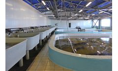 Underwater cleaning solutions for aquaculture industry