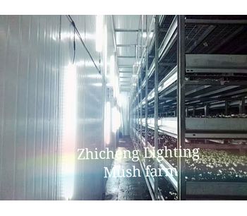 Zhichenges - Model ZC-RF2000-WD - LED Mushroom Growing Room Lighting