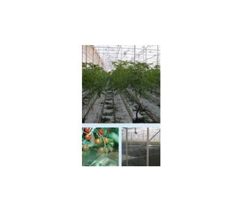 Commercial Greenhouse Applications