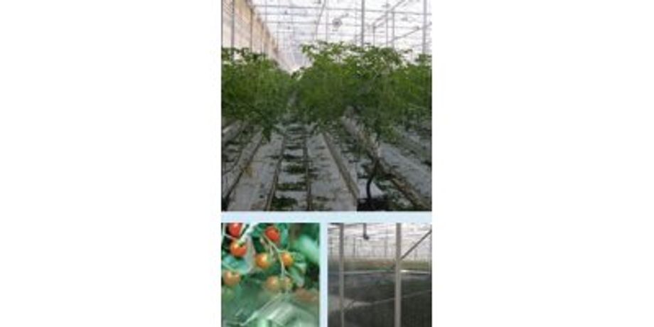 Commercial Greenhouse Applications