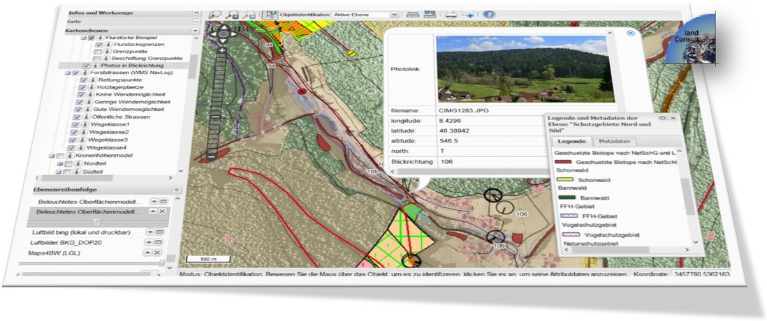 3D ForestGIS with 3D Forest Inventory Data and Web Maps - Agriculture - Forestry