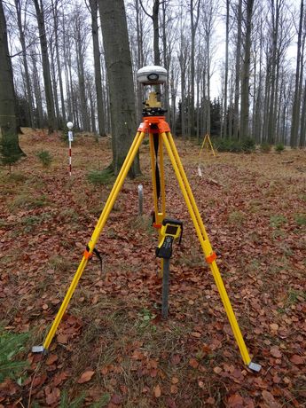 Terrestrial Laser Scanning to measure forest parameters-1