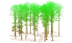 Terrestrial Laser Scanning to measure forest parameters