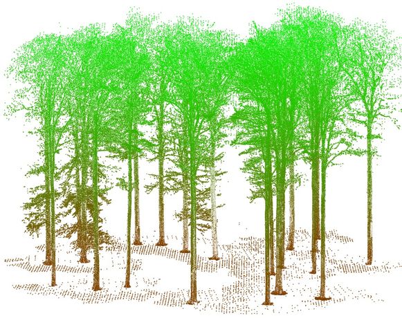 Terrestrial Laser Scanning to measure forest parameters-0