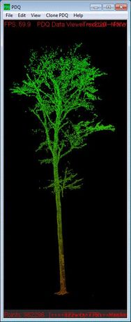 Terrestrial Laser Scanning to measure forest parameters-2