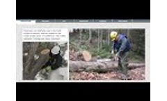 Chainsaw Safety Training Preview Video
