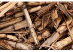 ARUNDO - Biomass Energy