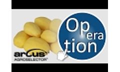 Grading Peeled Potatoes in 2017 (AGROSELECTOR® arcus® - in operation) Video