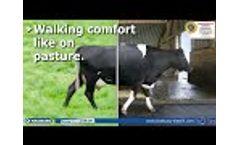 KRAIBURG rubber mats for animal housing 2018 Video