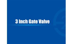 3 Inch Gate Valve