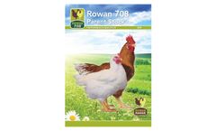 Rowan - Model 708 - White-Feathered Female Broiler Breeder Brochure