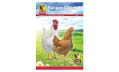 Rowan Ranger Classic - Brown Feathered Female Broiler Breeder Brochure