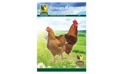 Rowan Ranger - Brown Feathered Female Broiler Breeder Brochure