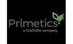 We are Primetics- Video