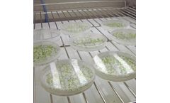 Plant Research Chamber for Tissue Culture Growth