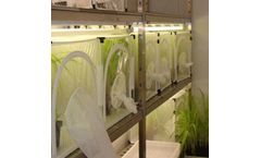 Plant Research Chamber for Insect Rearing and Entomology