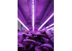 Aralab - Plant Growth Research Lights