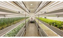 Aralab FitoClima Production Rooms Leafy Greens - Video