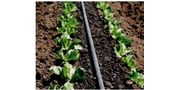 Drip/Microirrigation Systems
