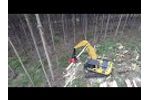 SATCO-3SERIES-SAT318 - Processing Eucalyptus Video