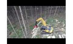 SATCO-3SERIES-SAT318 - Processing Eucalyptus Video