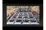 The Best Recirculating Aquaculture Systems In The World-Video