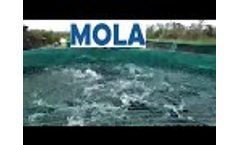 Aquaculture - Catfish Fish Farming Video