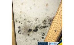 What Temperature Does Mold Grow in a House?