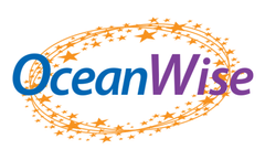 OceanWise - Data Management and Marine Spatial Data Infrastructure (SDI) or â€œCapacity Buildingâ€ Courses