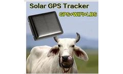 Raybaca - Model RBC-DW-02 - Mini Solar Animal GPS Tracker Gps Tracking Devices