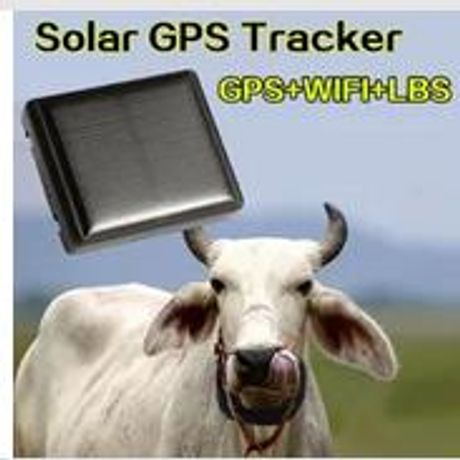 Raybaca - Model RBC-DW-02 - Mini Solar Animal GPS Tracker Gps Tracking Devices