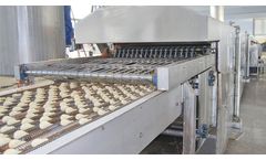 HG - Model CPC - Full-Automatic Compound Potato Chips Production Line Machine