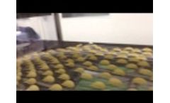 05 3 HG Compound potato chips production Video