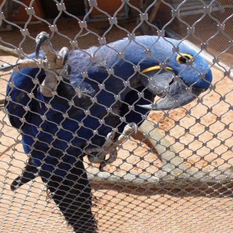 AISI 316 stainless steel aviary mesh / bird enclosure netting-0