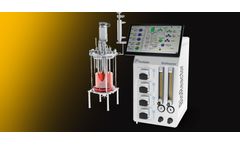 Laboratory Scale Bioreactors and Fermenters