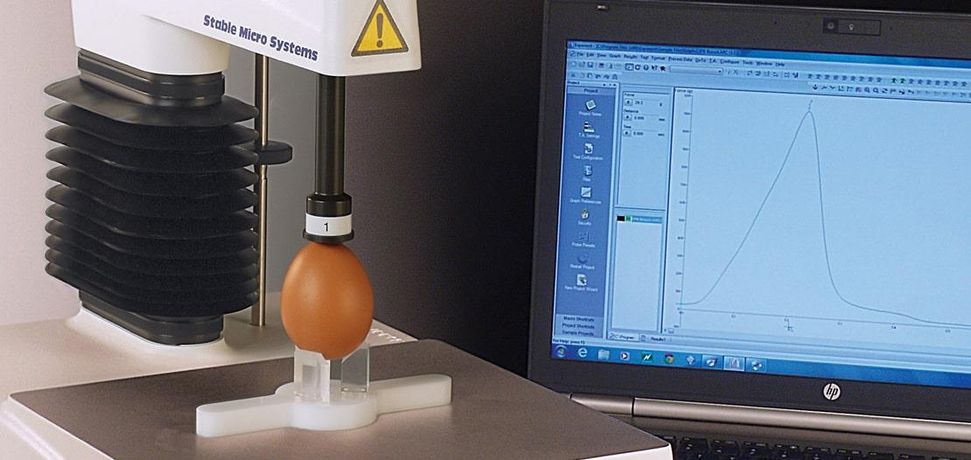 Egg Quality Testing System-1