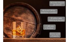 Whisky Analysis by Raman Spectroscopy