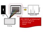 Detectors for Raman Spectroscopy: CCDs, EMCCDs, and InGaAs Arrays