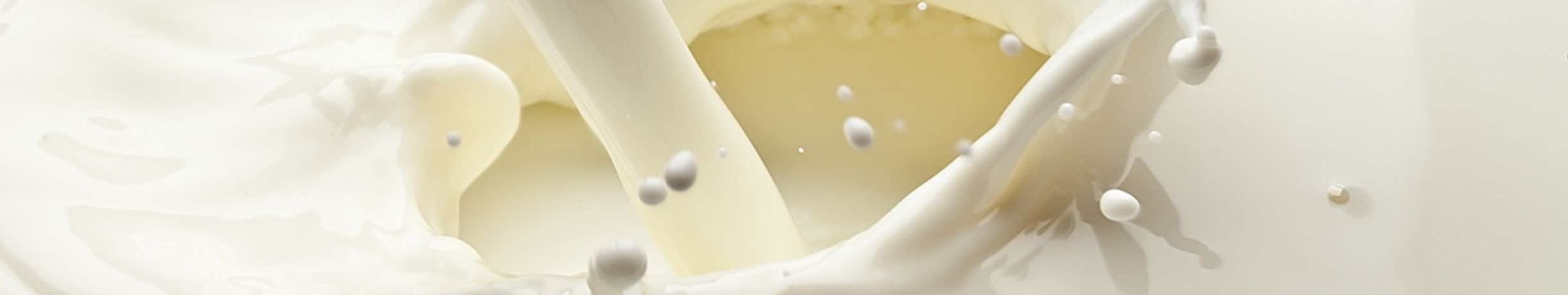 Centrifugation and Separation Technologies for Food Production and Milk Processing - Food and Beverage - Food