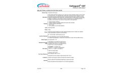 Carboguard - Model 1207 - Ultra-Durable Solvent-Free Coating - Brochure