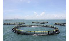 Water Quality Monitoring Solutions for Aquaculture