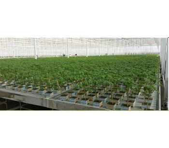 Horti-XS - Greenhouse Construction Services