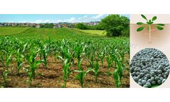 Application of microbial bacterial fertilizer in agricultural organic fertilizer production line