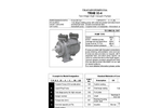Travaini Pumps - Model TRHE 32-4 - Two-Stage Liquid Ring Vacuum Pump – Cut Sheet